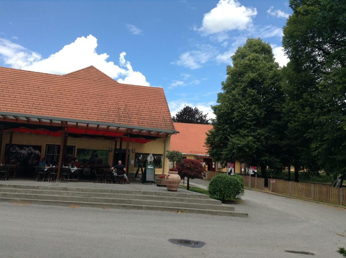 Weststeirische Ferienwohnung Piber Exterior foto